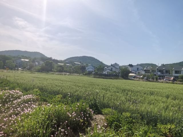 佘村明清代建筑群旅行图片 2