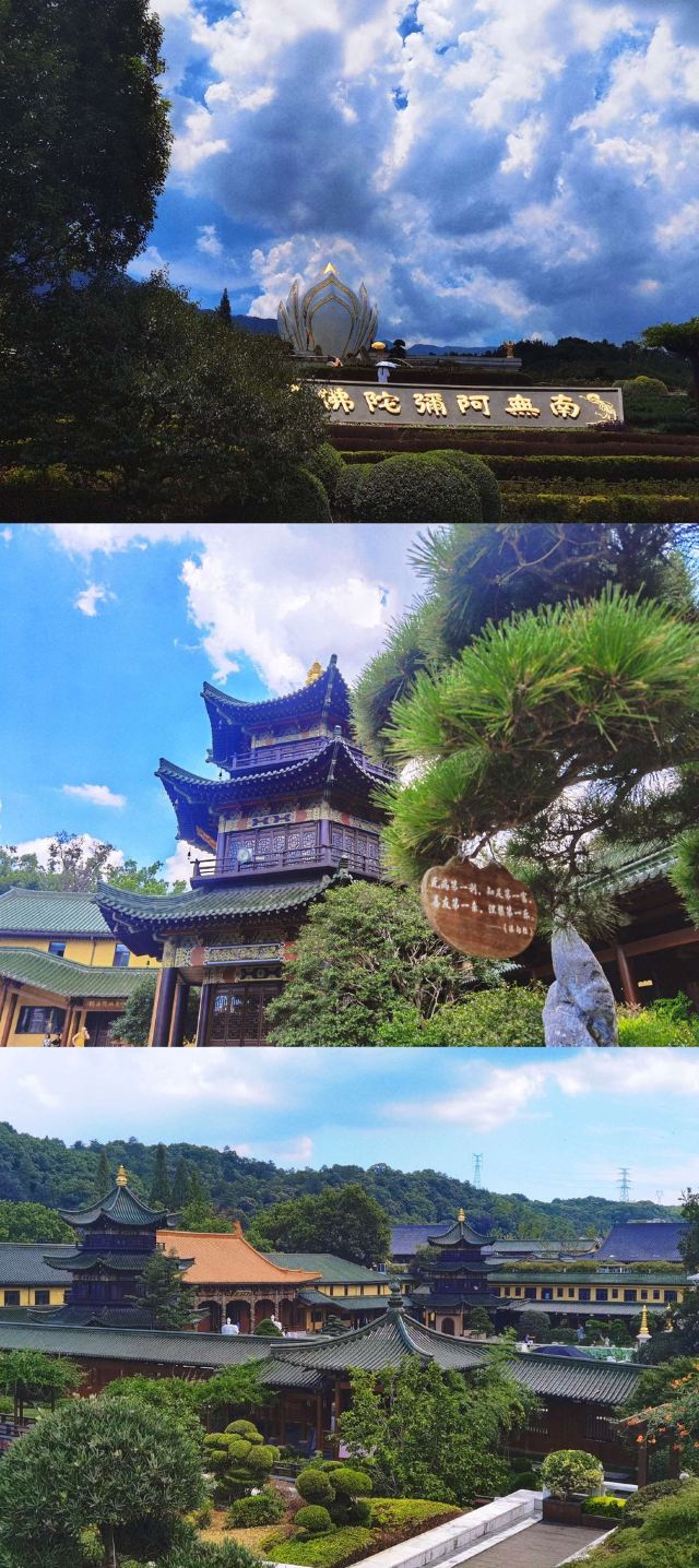 东林寺旅行图片 2