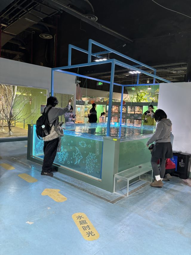 东方明珠公园旅行图片 2