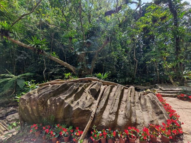 七仙岭全球热带水果博览中心旅行图片 1