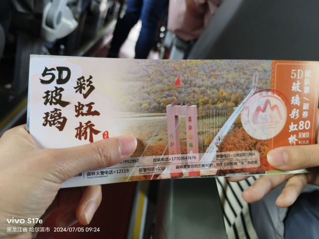 5D玻璃彩虹桥旅行图片 4