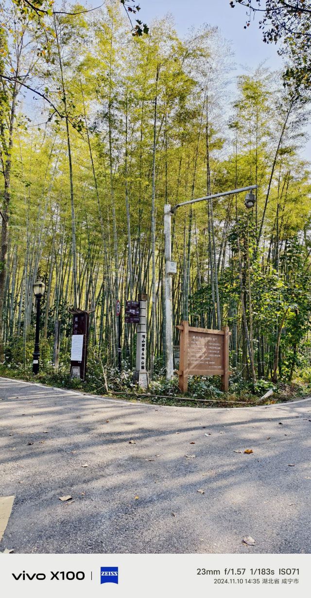 潜山国家森林公园旅行图片 2