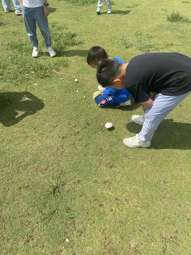 岭南大地百草园旅行图片 3