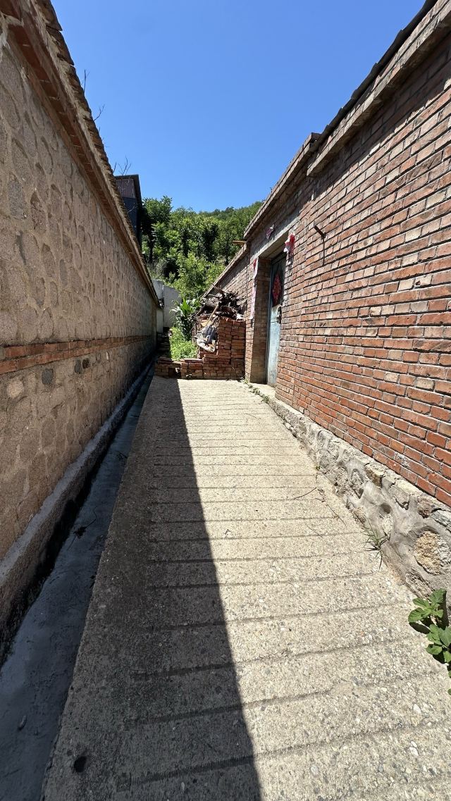 翠华山自然风景区旅行图片 9