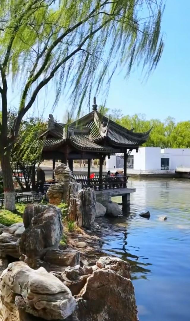 石家庄植物园旅行图片 5