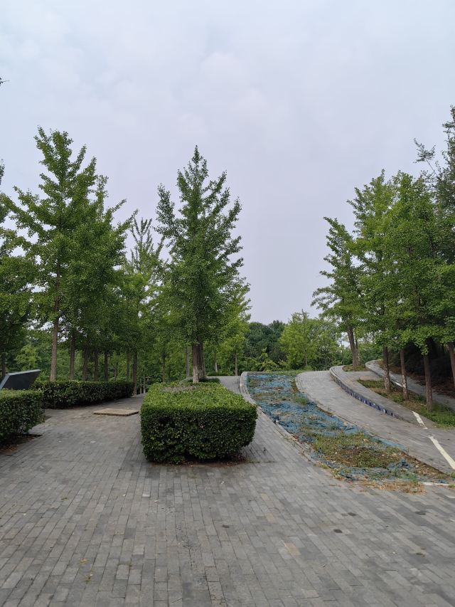 凤凰山公园旅行图片 2