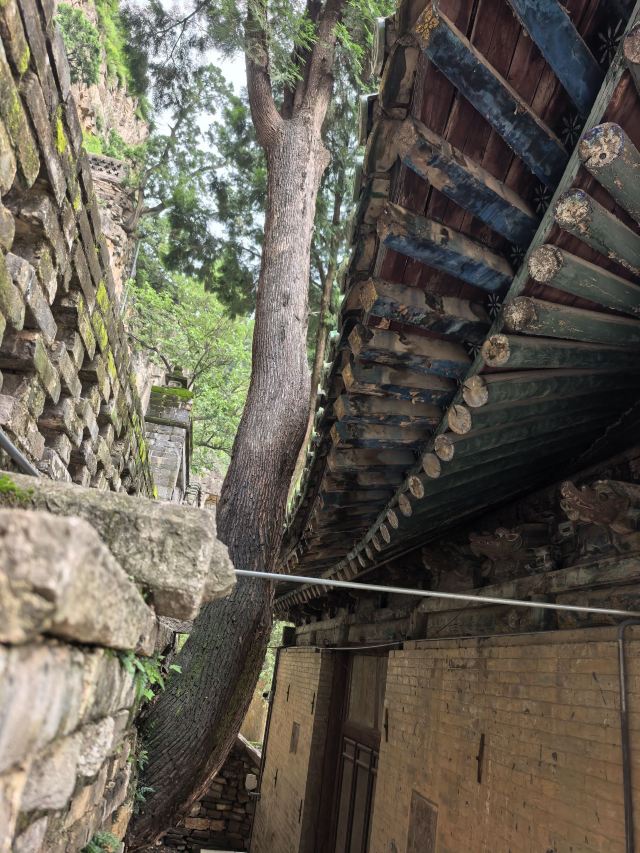 藏山旅游风景区旅行图片 11