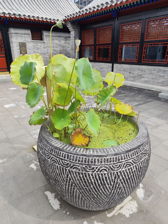 康有为故居旅行图片 6