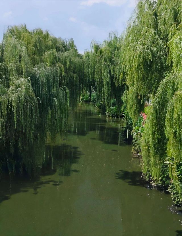 麒麟水乡旅行图片 7