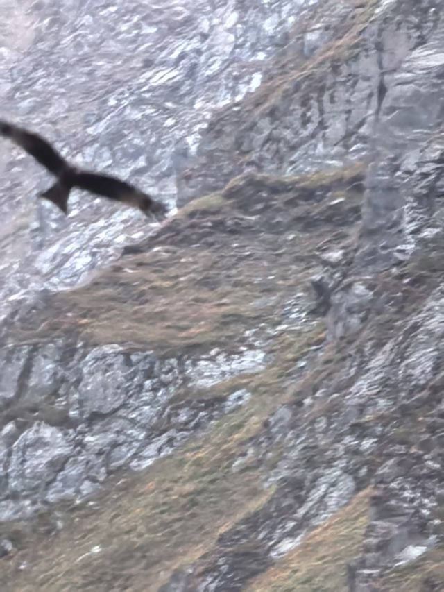 雪莲峰旅行图片 6