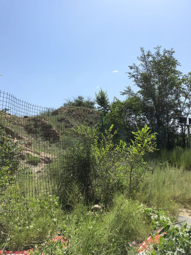 长城公园旅行图片 4