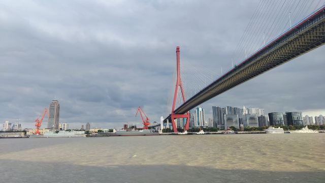 大桥公园旅行图片 1