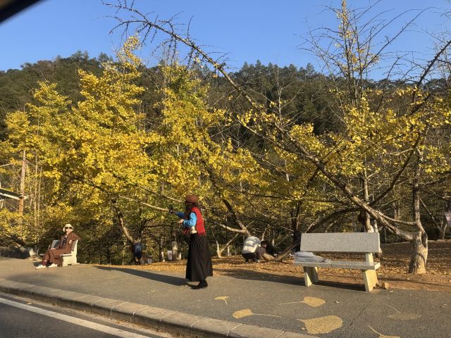 南雄帽子峰旅游景区旅行图片 7
