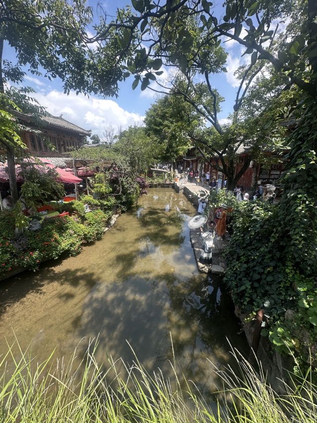 丽江古城旅行图片 5