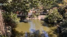 库兰达考拉花园-库兰达-YoYo_0W6L9G6L