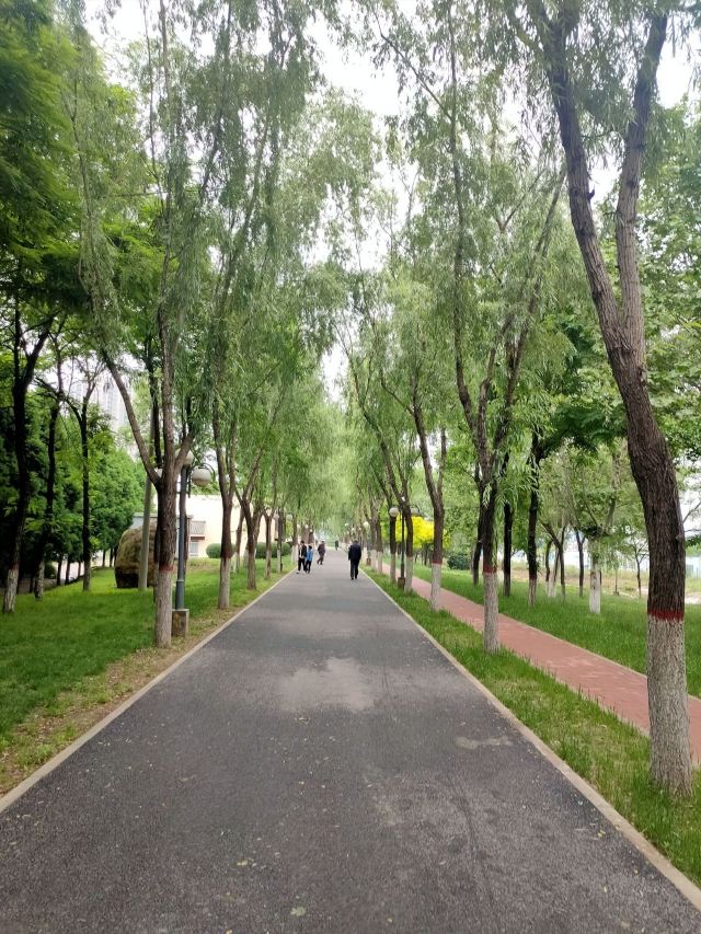 古渡公园旅行图片 7