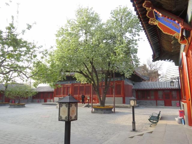 智化寺旅行图片 5
