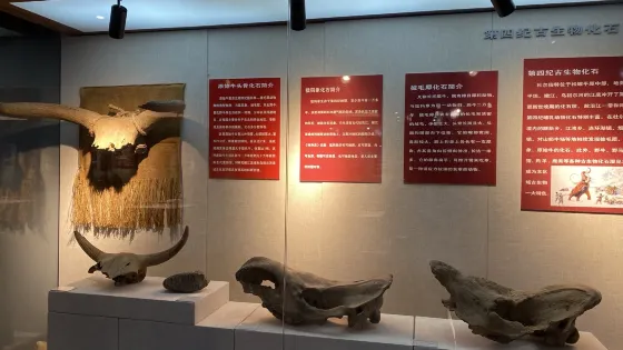 杜爾伯特博物館