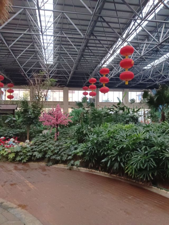 齐河阿尔卡迪亚国际温泉·禹泉旅行图片 1