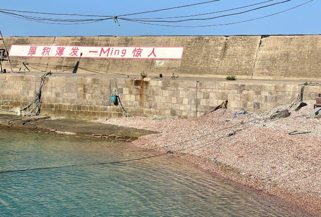 贝壳沙滩旅行图片 5
