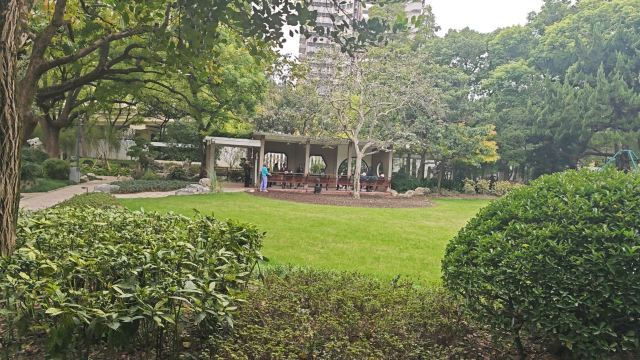 漕溪公园旅行图片 4