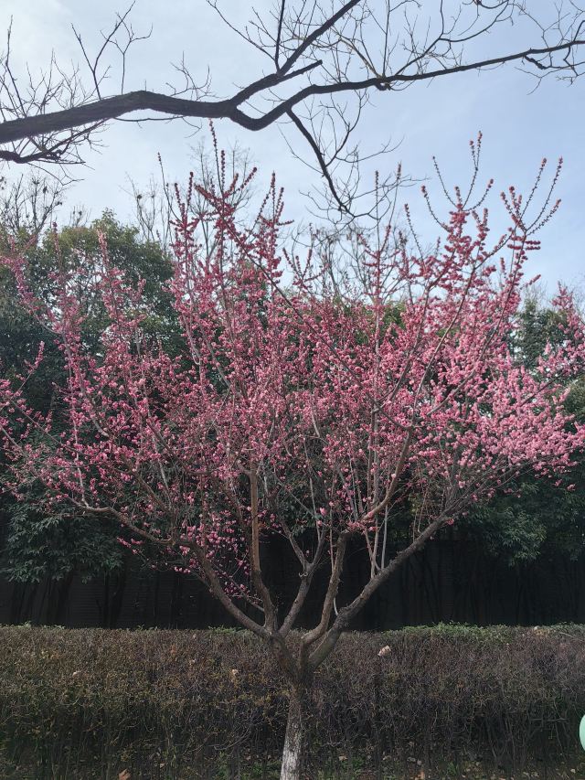 西安城市运动公园旅行图片 7