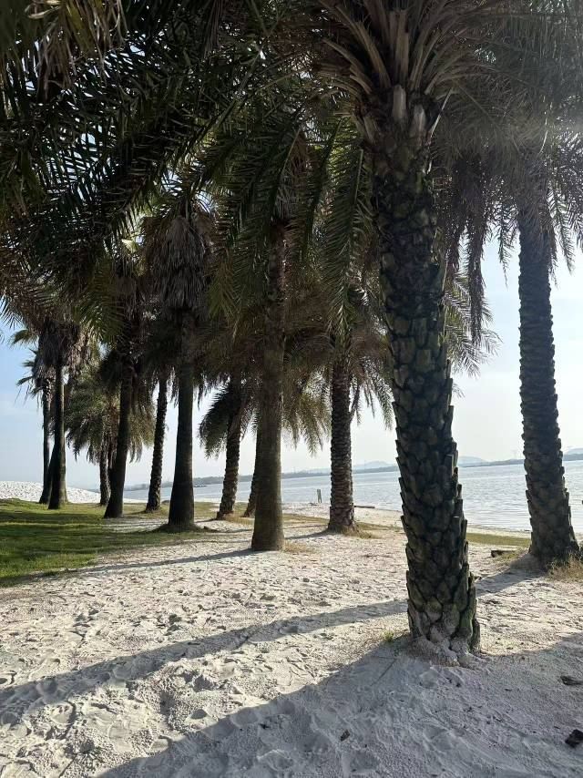 蜜泉湖旅游度假区旅行图片 3