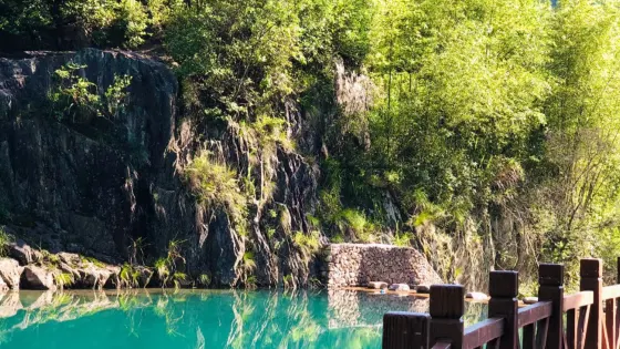 水竹灣森林公園