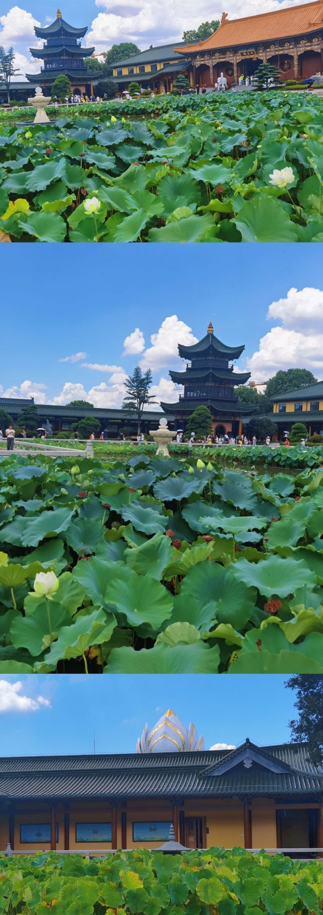 东林寺旅行图片 1
