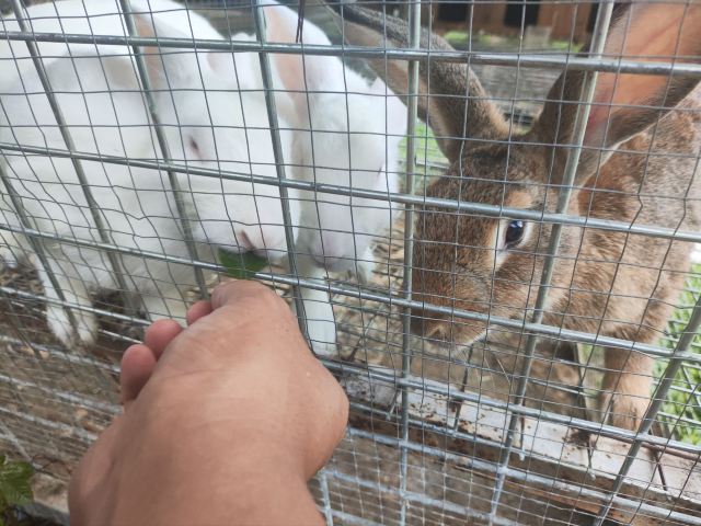 武寨岩景区旅行图片 3