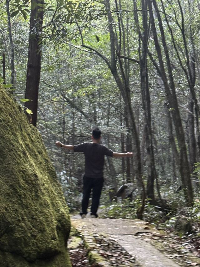 箬寮原始森林旅行图片 1