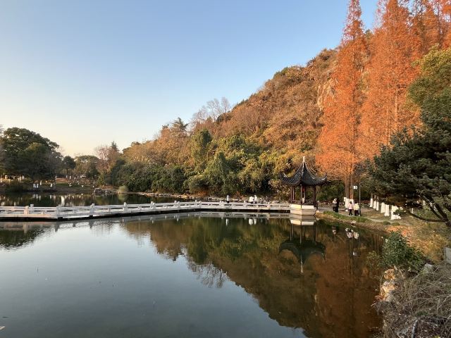 亭林园旅行图片 8