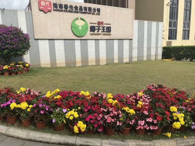 春光椰子王国旅行图片 5
