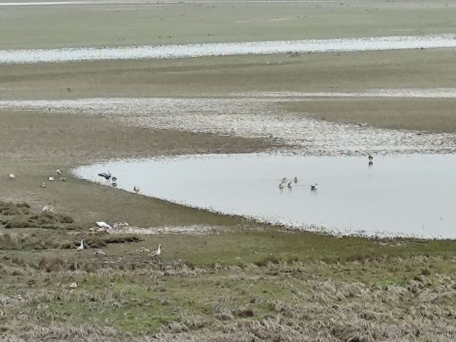 鄱阳湖国家湿地公园旅行图片 3