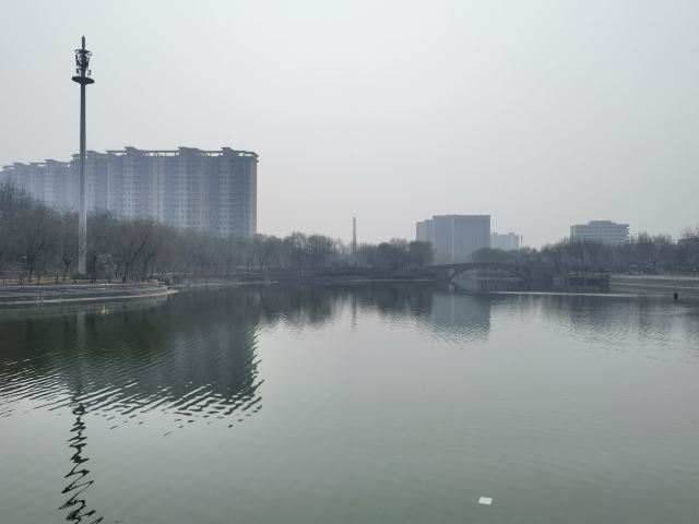 杜鹃湖旅行图片 2