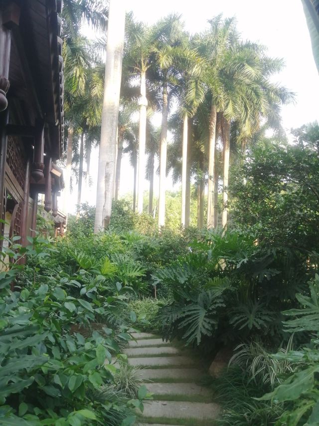 南宁市金花茶公园旅行图片 5