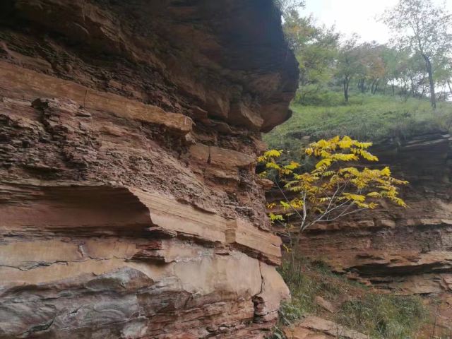 富县秦直道景区旅行图片 2