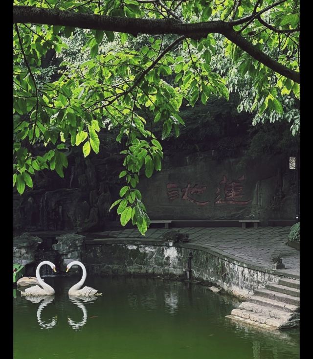 鹅岭公园旅行图片 9