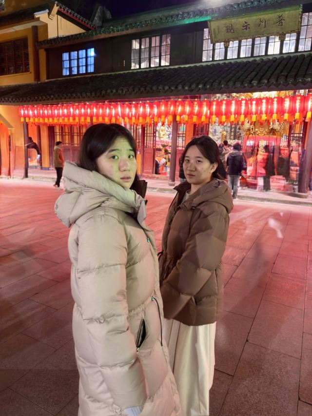 龙华寺旅行图片 4