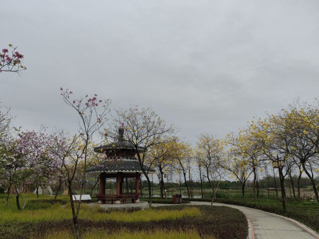 华阳湖国家湿地公园旅行图片 9