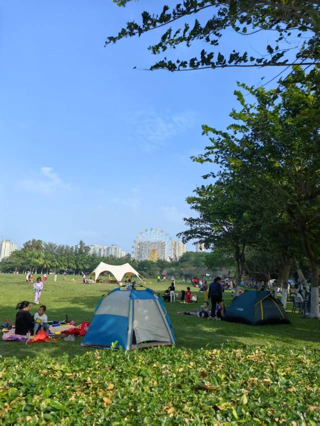 万绿园旅行图片 6
