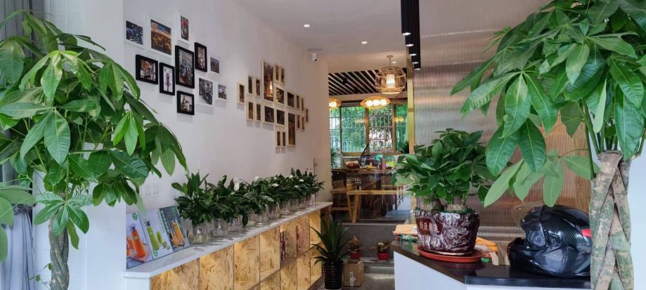 Gallery 3