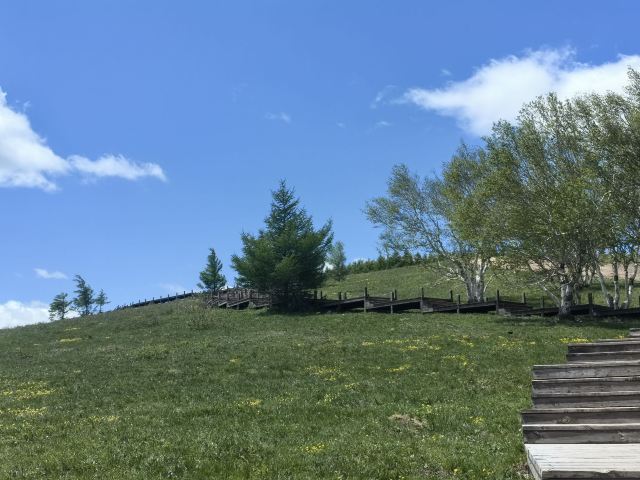 黄岗梁国家森林公园旅行图片 14