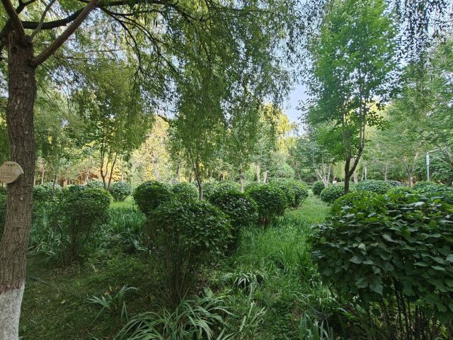 凉州植物园旅行图片 4