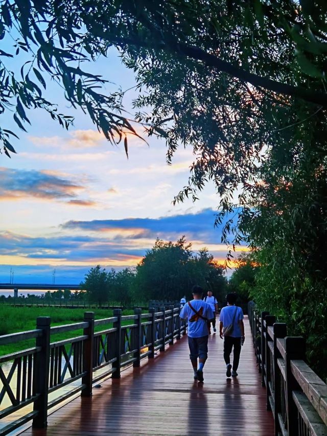 松花江湿地旅行图片 3