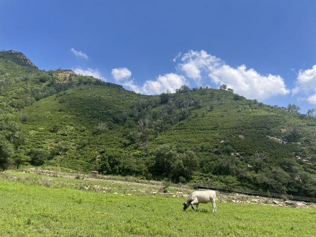 红石崖国家生态公园旅行图片 3