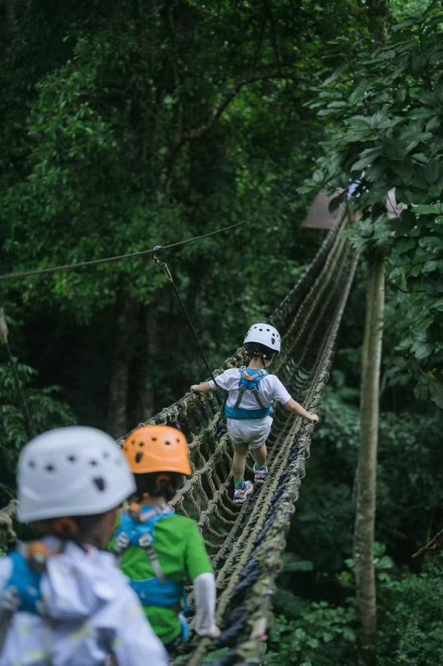 基诺山南卡雨林徒步旅行图片 2