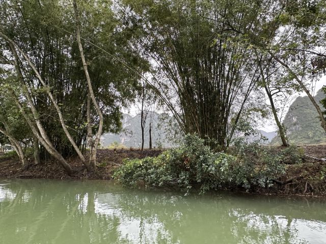 明仕河竹排游旅行图片 2