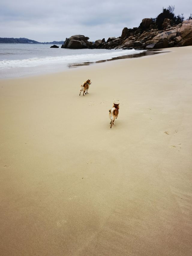 田美澳海滩旅行图片 2
