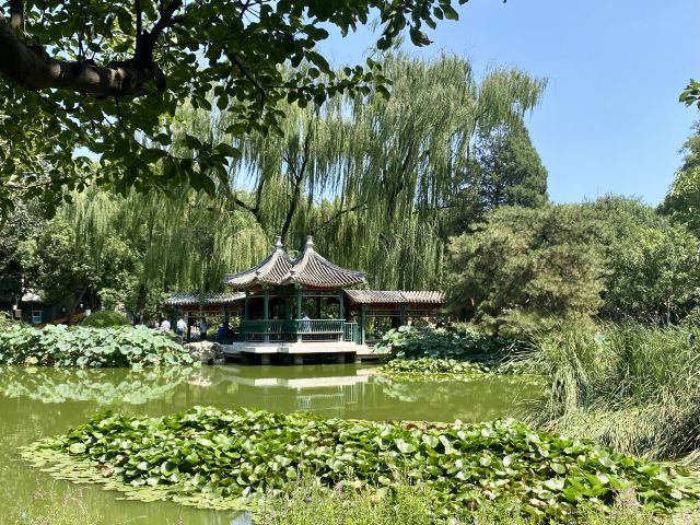 宣武艺园旅行图片 4